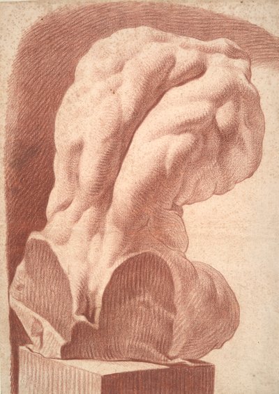 Studio accademico di un torso da Unknown
