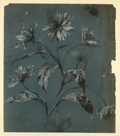 Progetto per carta da parati o tessuto con fiore tipo margherita a ripetizione da Unknown
