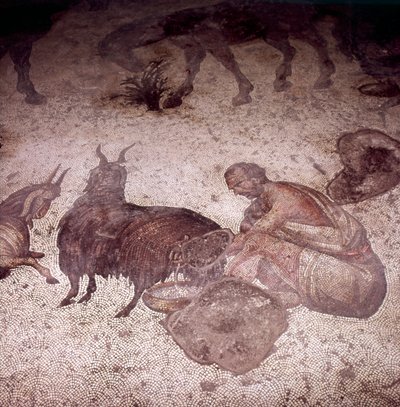 Dettaglio del mosaico del pavimento al Gran Palazzo, Istanbul, regno di Giustino, 565-575 da Unknown