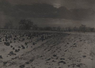 Campo di cavoli sotto la neve da Unknown