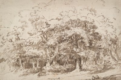 Studio di alberi da Unknown