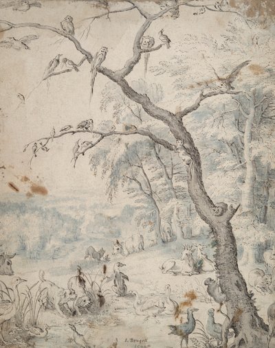 Il Giardino dell