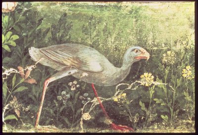 Affresco di un pollo sultano in un giardino, Pompei, I secolo d.C. da Unknown