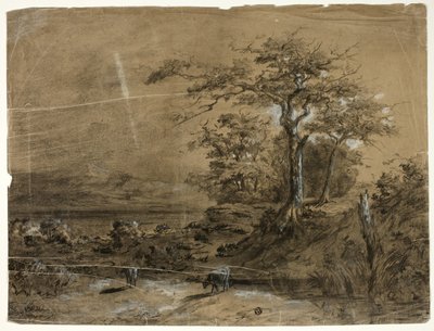Paesaggio boscoso con mucche in primo piano da Unknown
