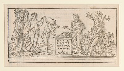 pagina da copia dopo Francesco Colonna da Unknown