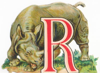 A: Rinoceronte da Unknown artist