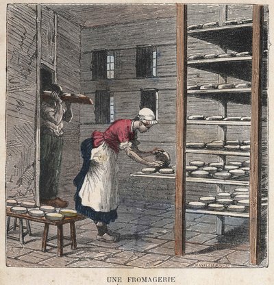 Una fabbrica di formaggio. Illustrazione del XIX secolo. Collezione Bianchetti da Unknown artist