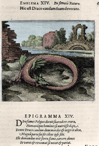 Un drago che batte la coda (o Ouroburo). Tavola tratta dal trattato di alchimia "Atalanta fugiens hoc est Emblemata nova de secretis naturae chymica" di Michel Maier (1568-1622) da Unknown artist