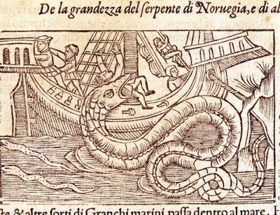 Un serpente marino gigante attacca una nave e batte il suo equipaggio. Incisione di Olaus Magnus (1490-1557), religioso e geografo svedese, 
