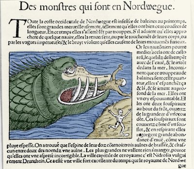 Un mostro marino attacca un nuotatore vicino alla costa della Norvegia. Incisione di Olaus Magnus (1490-1557), religioso e geografo svedese, 
