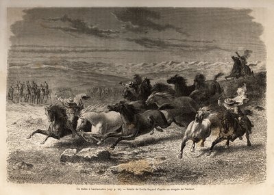 Un rodeo a Lauramarca (Basso Perù), la cattura di cavalli selvaggi, prima della loro marchiatura con le iniziali del proprietario della regione, considerato uno spettacolo completo, molti spettatori si sono radunati. Incisione per illustrare il viaggio nel da Unknown artist