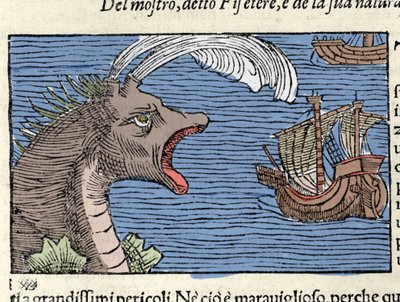 Un capodoglio (?) (physeter) attacca una nave. Incisione di Olaus Magnus (1490-1557), religioso e geografo svedese, 
