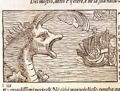 Un capodoglio (?) (physeter) attacca una nave. Incisione di Olaus Magnus (1490-1557), religioso e geografo svedese, 