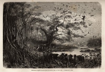 Abbondanza di selvaggina sulle rive dello Zambesi da Unknown artist