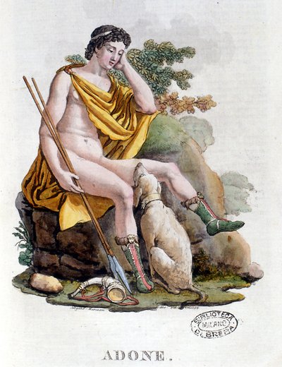 Adone. Dio greco di origine fenicia. Incisione del XIX secolo. Biblioteca nazionale Braidense. Milano da Unknown artist
