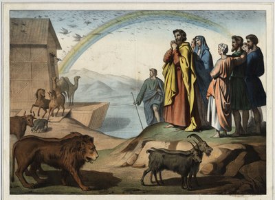 Dopo il diluvio, gli animali scendono dall