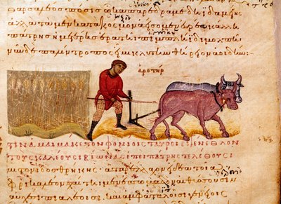 Agricoltura: scena di aratura. Miniatura da 