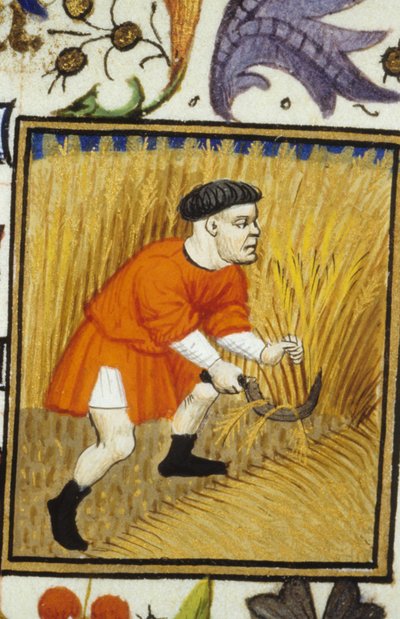 Rappresentazione allegorica di luglio. Raccolto: un contadino che falcia il grano dorato. Miniatura di un manoscritto del XIV secolo da Unknown artist