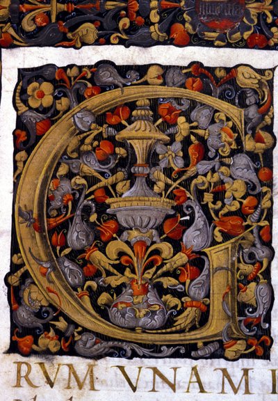 Alfabeto: lettera miniaturizzata G da Unknown artist