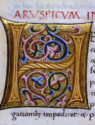 Alfabeto: lettera miniata H da Unknown artist
