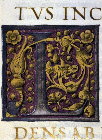 Alfabeto: lettera miniata L da Unknown artist