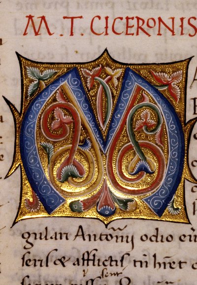 Alfabeto: lettera miniata M da Unknown artist
