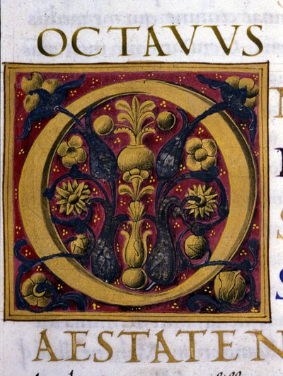 Alfabeto: lettera miniaturizzata O da Unknown artist