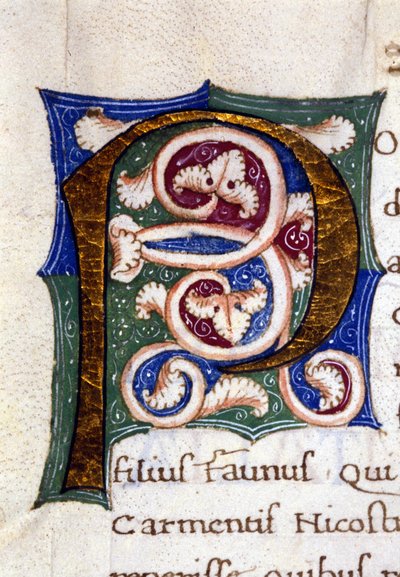 Alfabeto: lettera miniata P da Unknown artist