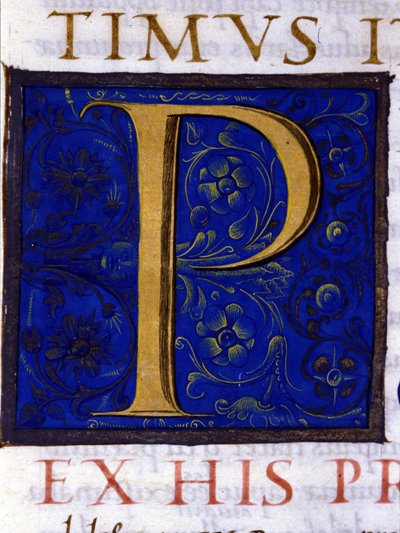 Alfabeto: lettera miniata P da Unknown artist