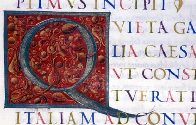Alfabeto: lettera miniata Q da Unknown artist