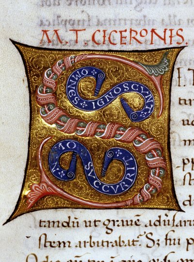 Alfabeto: lettera miniata S da Unknown artist