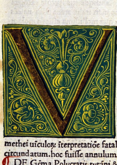 Alfabeto: lettera miniaturizzata V da Unknown artist