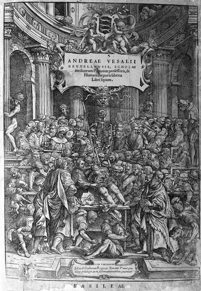 Sala anatomica. Frontespizio dell