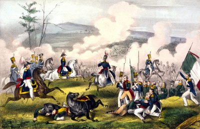 Battaglia di Palo Alto: l