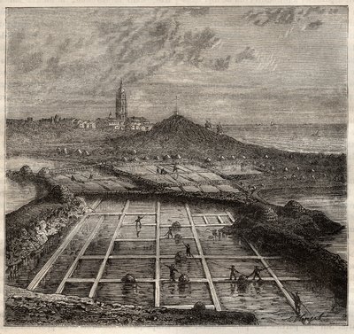 Batz sur Mer, Bretagna, Francia - Produzione di sale. Vista di una salina nella Francia occidentale - incisione in 