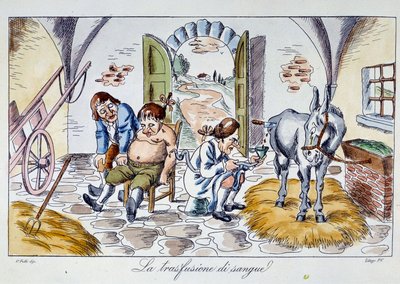 Trasfusione di sangue Un medico inietta sangue di cavallo in un paziente. Caricatura del XIX secolo Collezione privata da Unknown artist