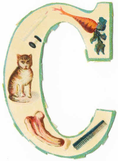 C: corallo, carota, candela, cotone, gatto, coloquintide, pettine da Unknown artist