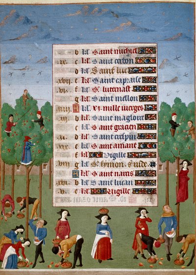 Pagina del calendario per il mese di ottobre: lavori agricoli, raccolta dei frutti. Pagina miniata dal Libro delle Ore della Duchessa di Borgogna, Adelaide di Savoia da Unknown artist