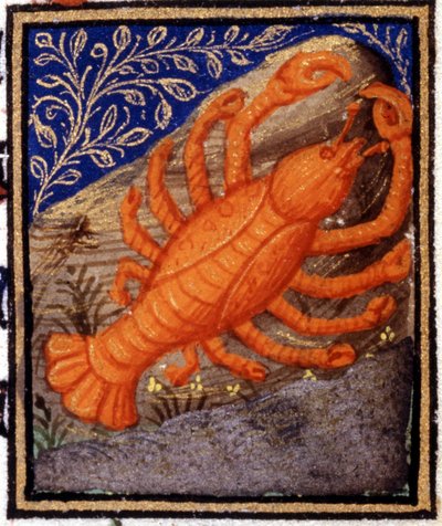 Cancro. Miniatura di un oroscopo. Manoscritto del XV secolo. Bibl. Trivulziana, Milano da Unknown artist