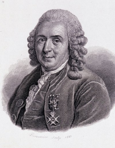 Carl Von Linné naturalista e scrittore svedese (1707 - 1778) - in 
