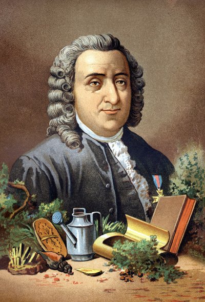 Carl von Linné naturalista e scrittore svedese (1707 - 1778) da 
