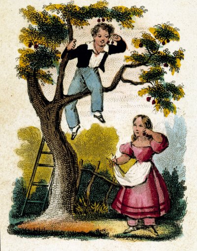 Raccolta delle ciliegie - cromolitografia, fine XIX secolo da Unknown artist