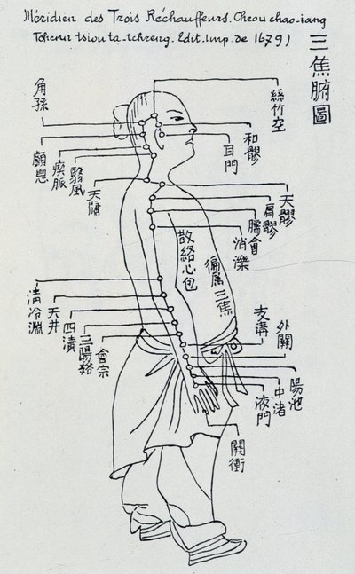 Agopuntura cinese: il meridiano dei tre riscaldatori da Unknown artist