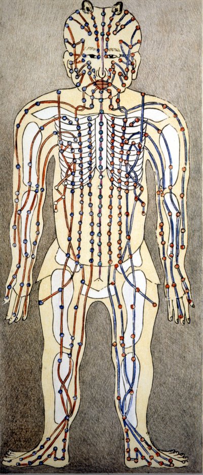 Medicina cinese. I flussi del corpo dove applicare l