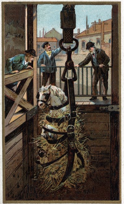 Cromolitografia della fine del XIX secolo da Unknown artist