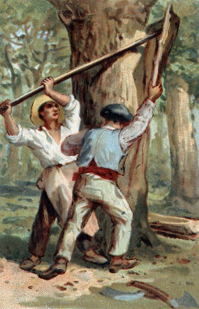 Cromolitografia della fine del XIX secolo da Unknown artist
