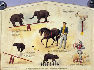 Circo: una tavola che rappresenta diversi tipi di spettacoli di animali addestrati con elefanti, una capra, un orso, cavalli e un maiale. Illustrazione del XIX secolo da Unknown artist