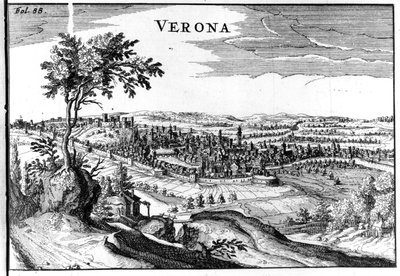 Mappa della città di Verona XVI secolo da Unknown artist