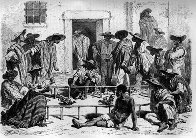 Combattimento di galli in Sud America. Incisione in "Le journal de la jeunesse" da Unknown artist