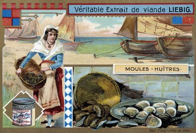 Collezione di cozze e ostriche - cromolitografia Liebig, ca. 1900 da Unknown artist